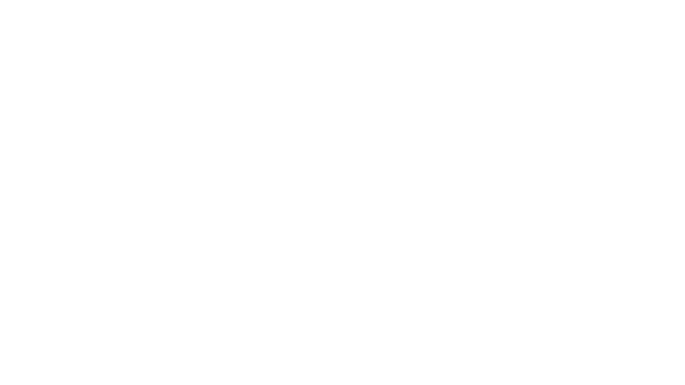 Platinum Lace